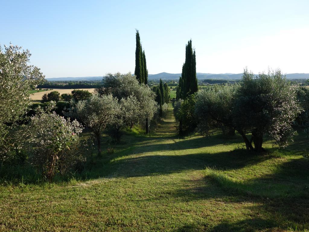 Bella Di Ceciliano Bed & Breakfast Arezzo Exterior photo